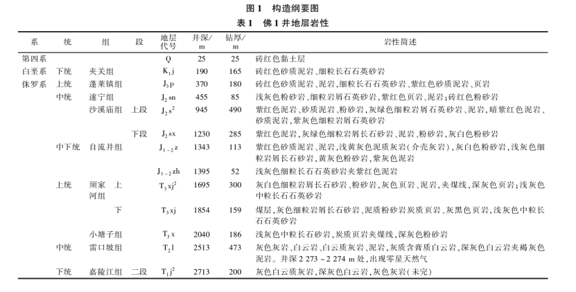 樂(lè )山大佛景區區域地熱資源開(kāi)發(fā)遠景分析-地大熱能